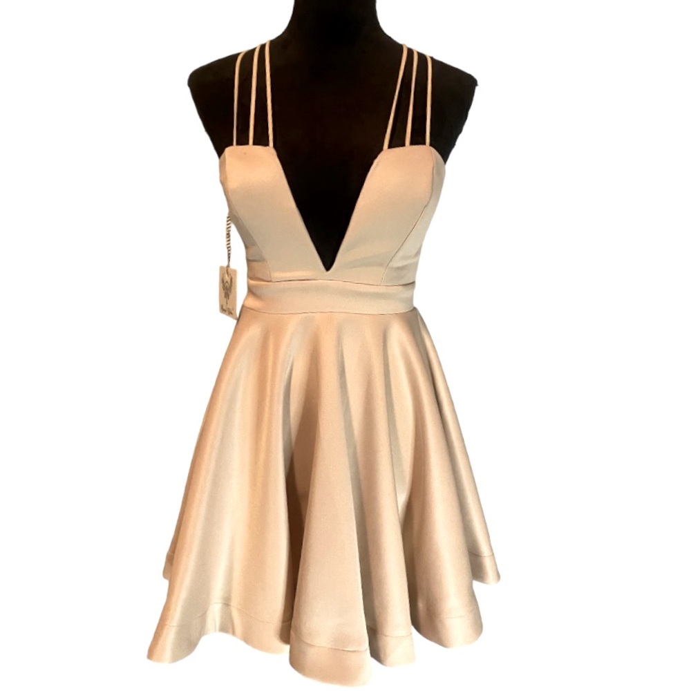 Angel Biba Nude Party Dress